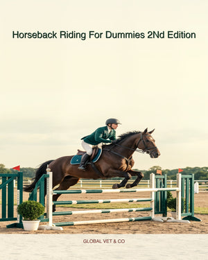 Horseback Riding For Dummies 2Nd Edition