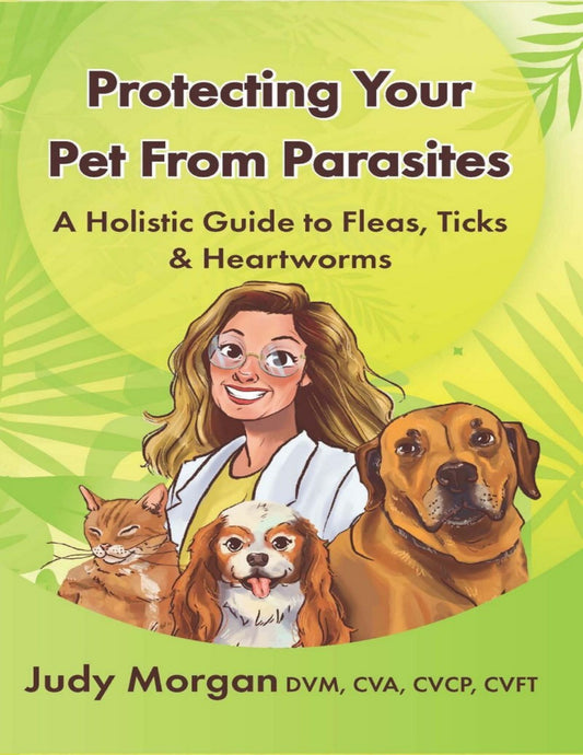 Protecting Your Pets From Parasites A Holistic Guide To Fleas Ticks Heartworms