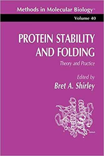 Protein Stability And Folding Theory And Practice