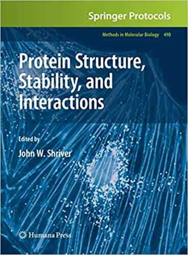 Protein Structure Stability And Interactions