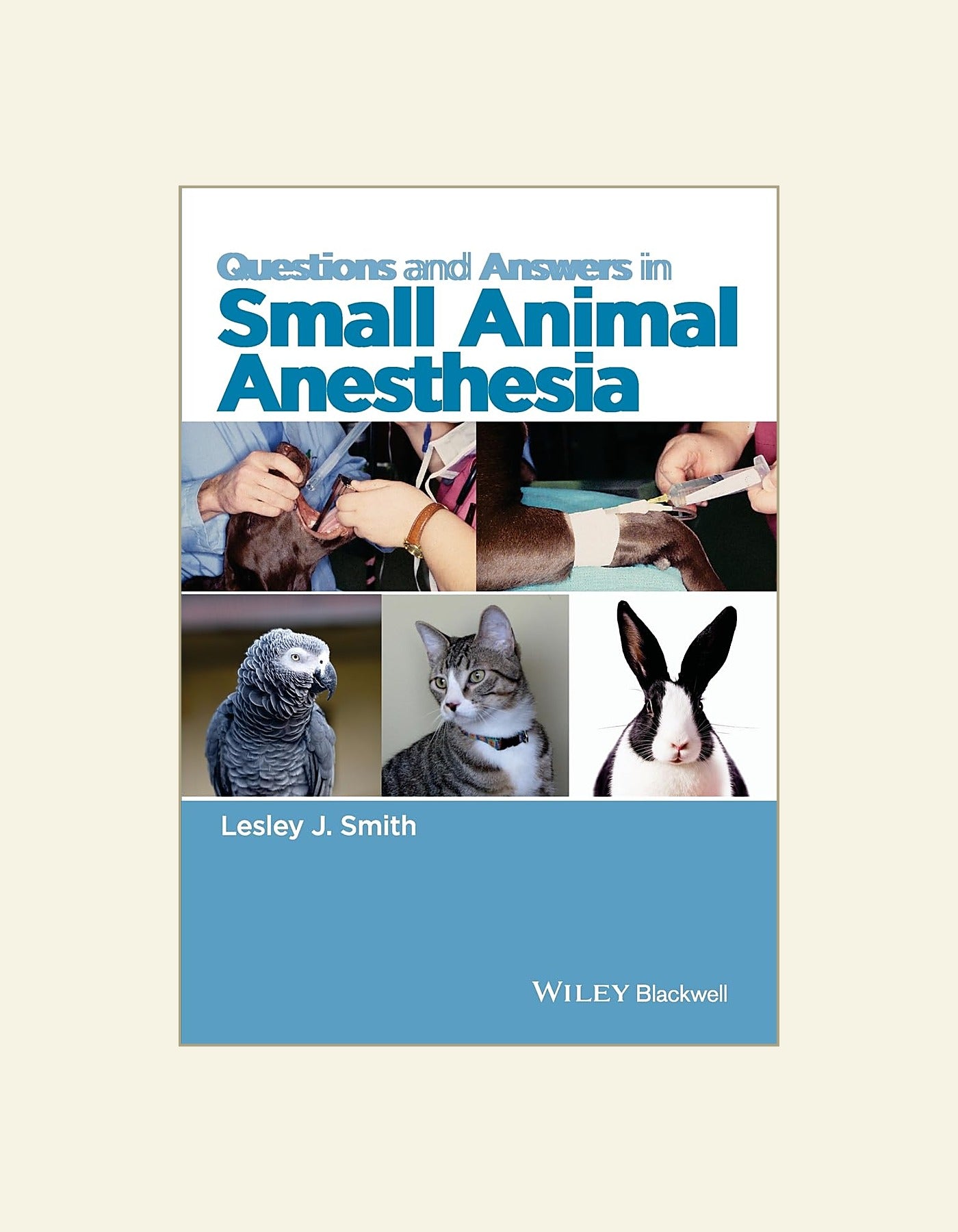 Questions And Answers In Small Animal Anesthesia — front cover