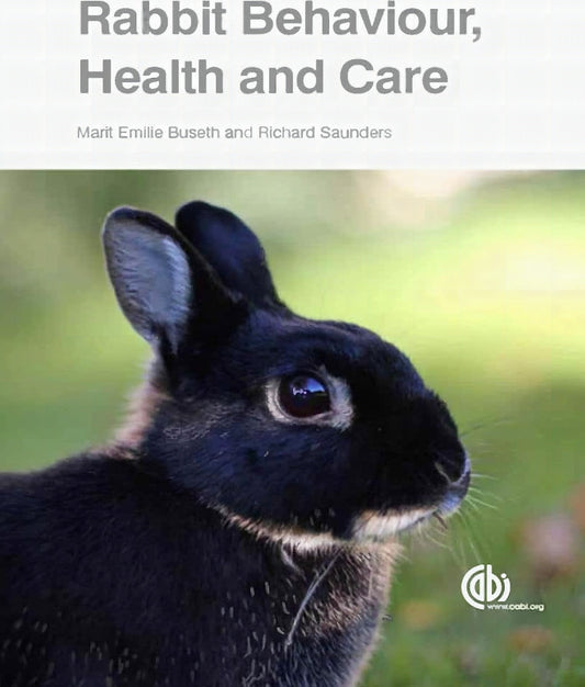 Rabbit Behaviour Health And Care