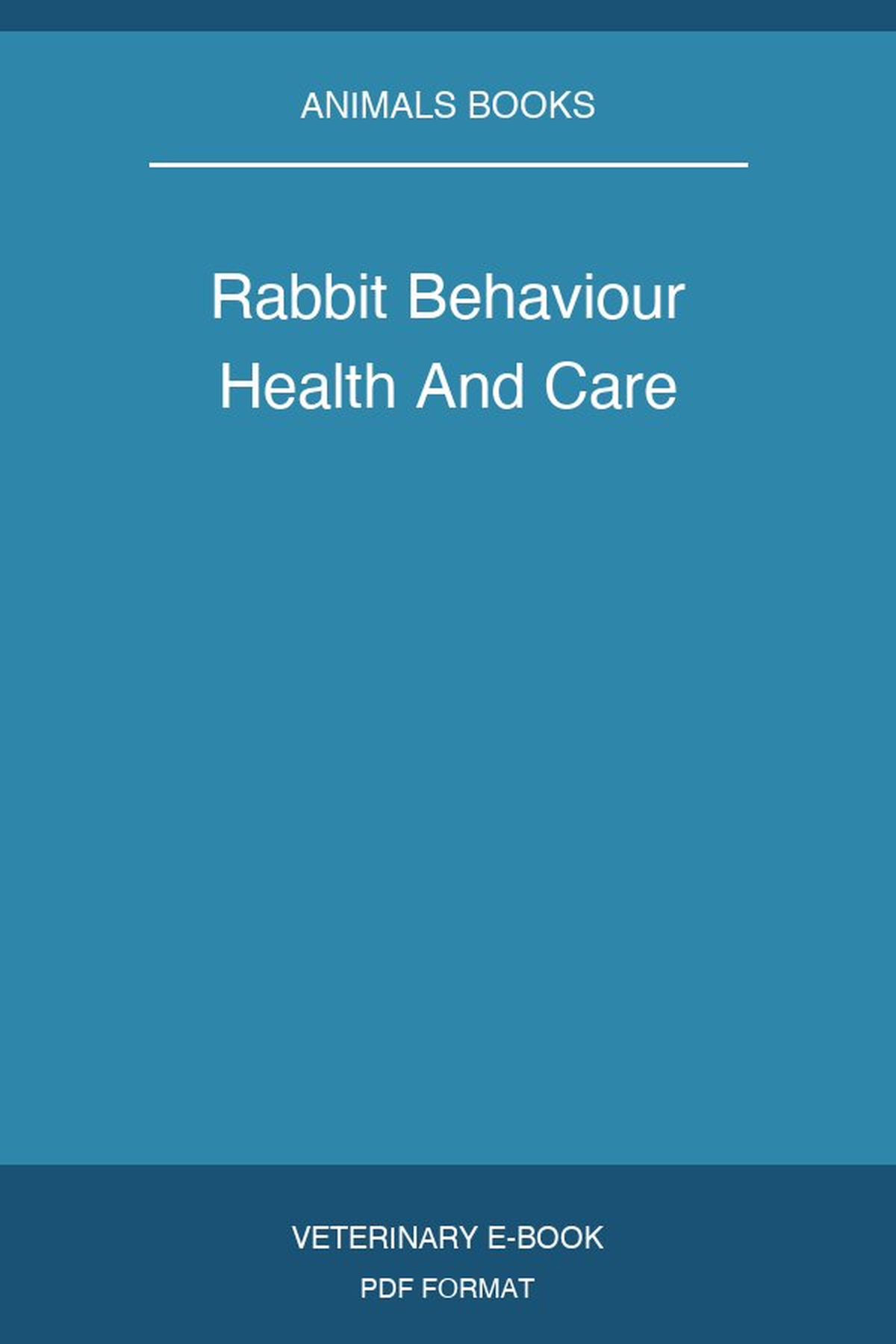 Rabbit Behaviour Health And Care