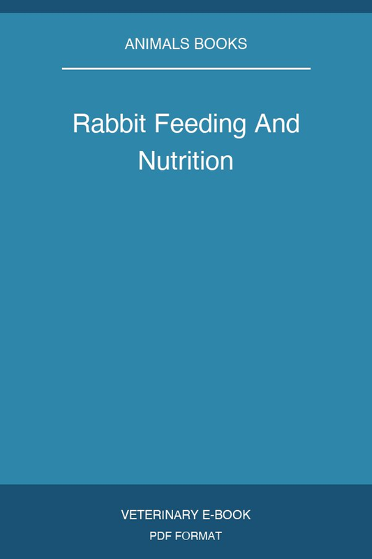 Rabbit Feeding And Nutrition
