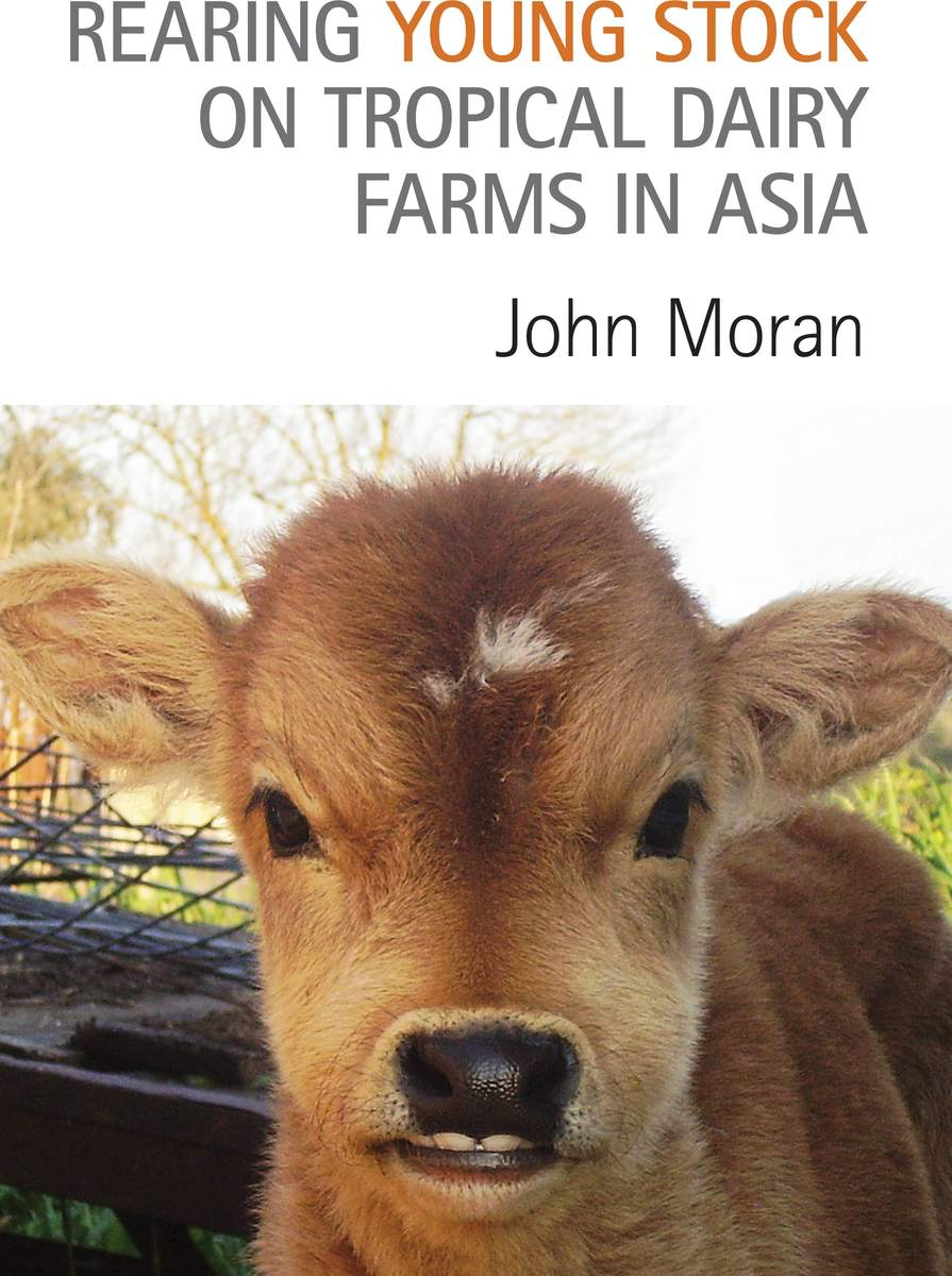 Rearing Young Stock On Tropical Dairy Farms In Asia