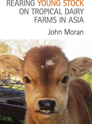 Rearing Young Stock On Tropical Dairy Farms In Asia