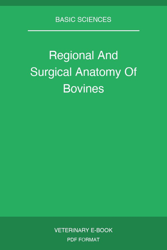 Regional And Surgical Anatomy Of Bovines