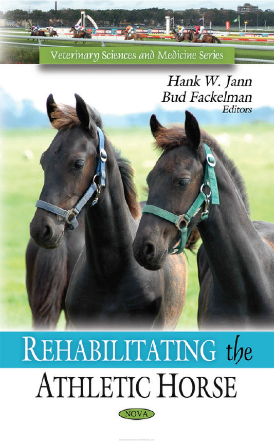 Rehabilitating The Athletic Horse