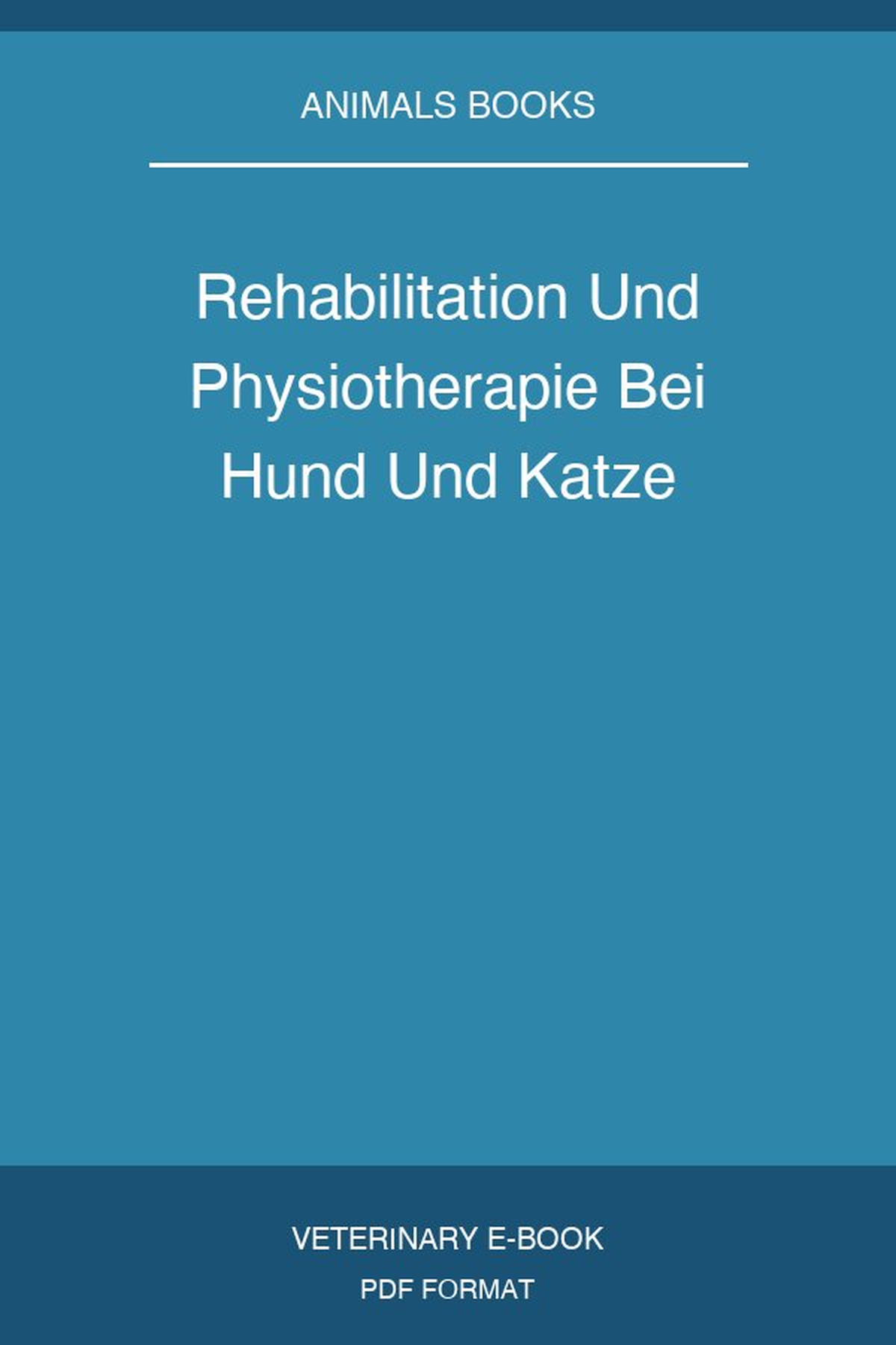Rehabilitation Und Physiotherapie Bei Hund Und Katze