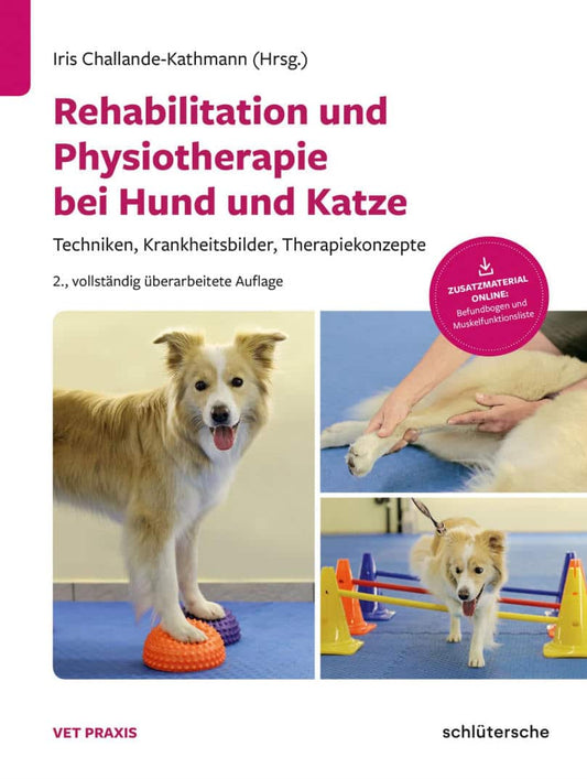 Rehabilitation Und Physiotherapie Bei Hund Und Katze