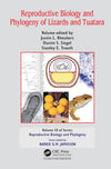 Reproductive Biology Ad Phylogeny Of Lizards And Tuatara