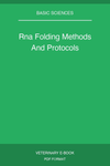 Rna Folding Methods And Protocols