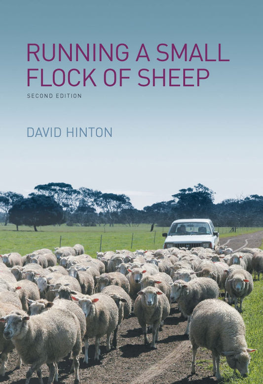 Running a Small Flock of Sheep — verified publisher front cover