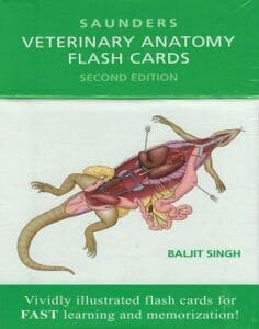 Saunders Veterinary Anatomy Flash Cards, 2nd Edition