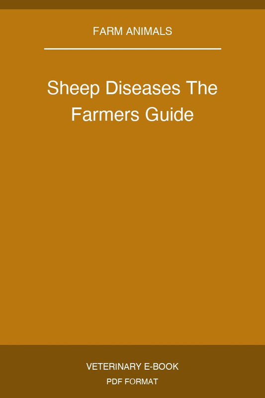 Sheep Diseases The Farmers Guide