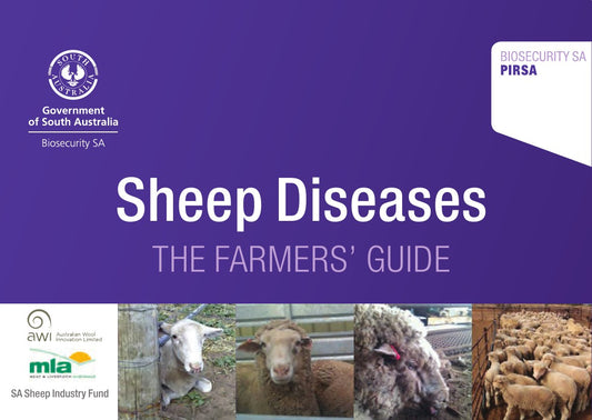 Sheep Diseases The Farmers Guide