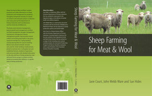 Sheep Farming For Meat And Wool