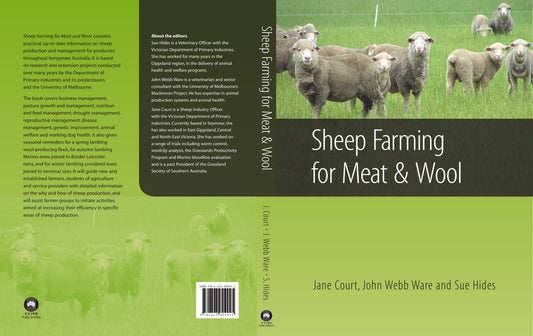 Sheep Farming For Meat And Wool