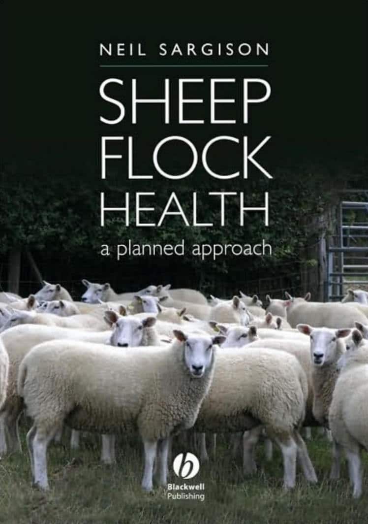 Sheep Flock Health A Planned Approach