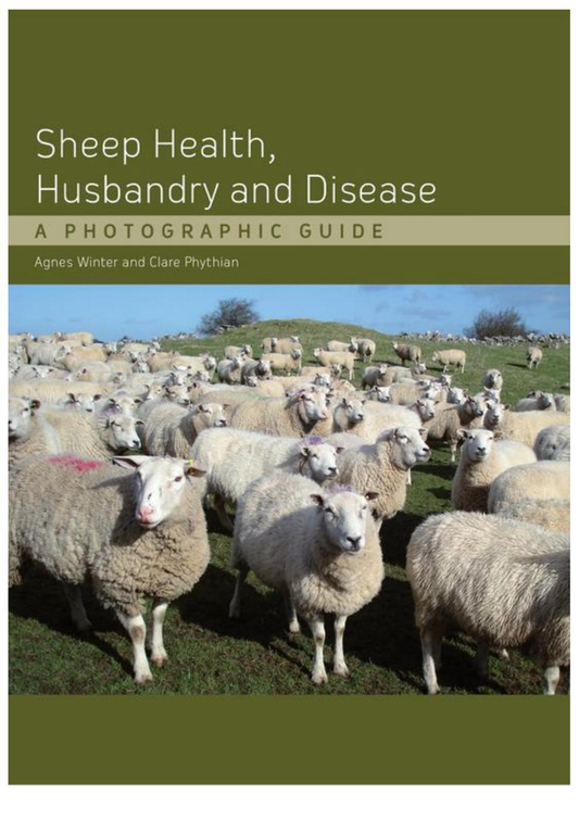 Sheep Health, Husbandry and Disease — front cover