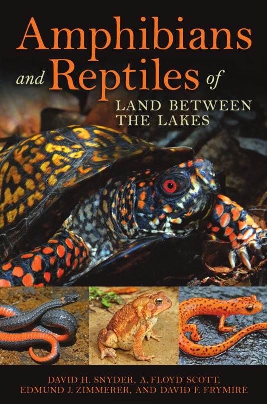 Amphibians And Reptiles Of Land Between The Lakes