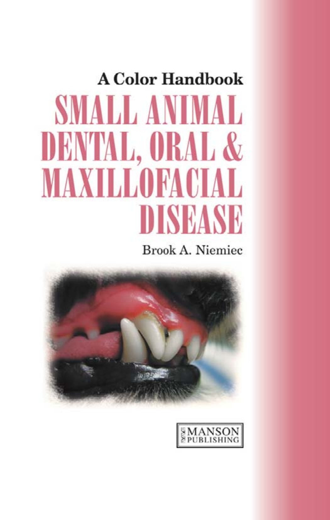 Small Animal Dental Oral And Maxillofacial Disease A Colour Handbook