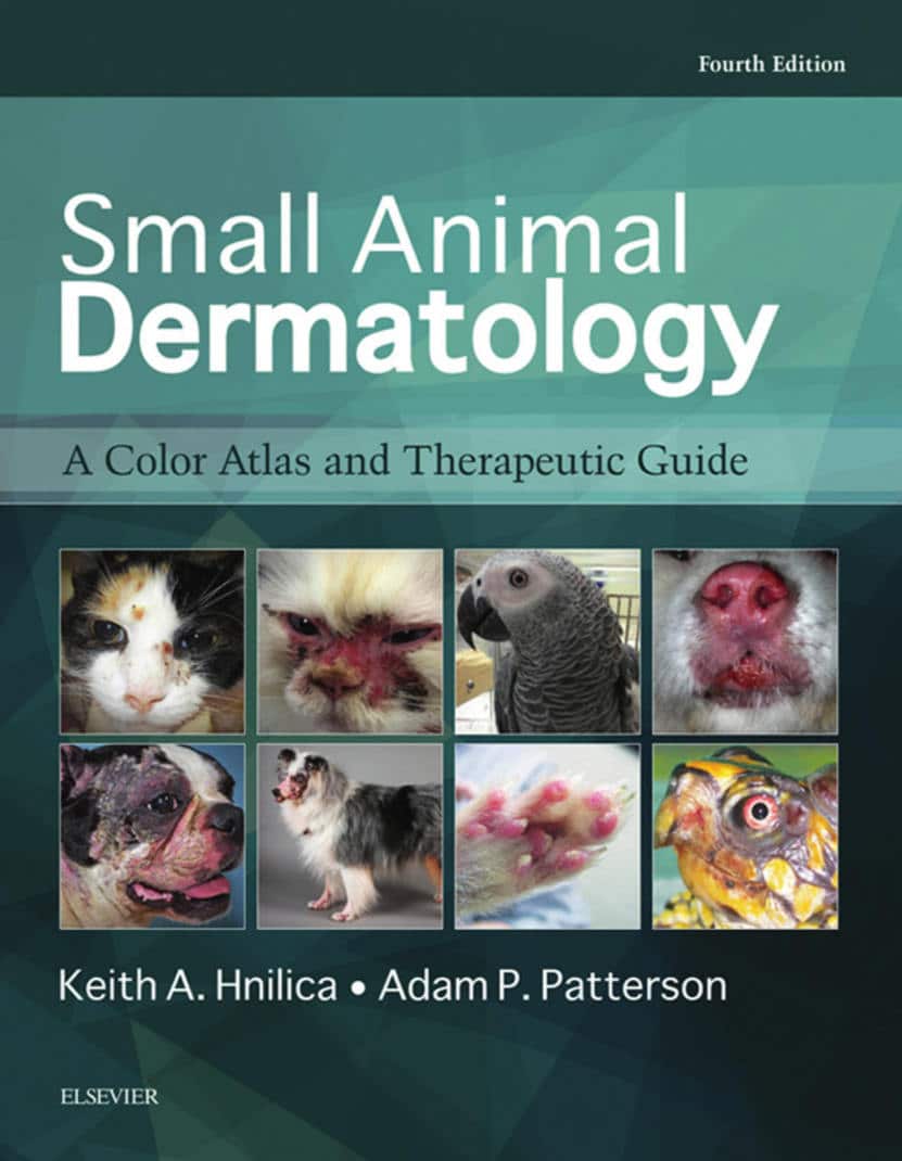 Small Animal Dermatology A Color Atlas And Therapeutic Guide