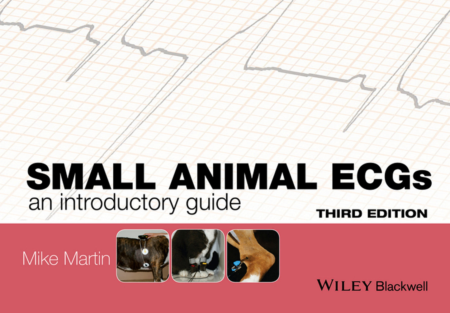 Small Animal Ecgs An Introductory Guide 3Rd Edition