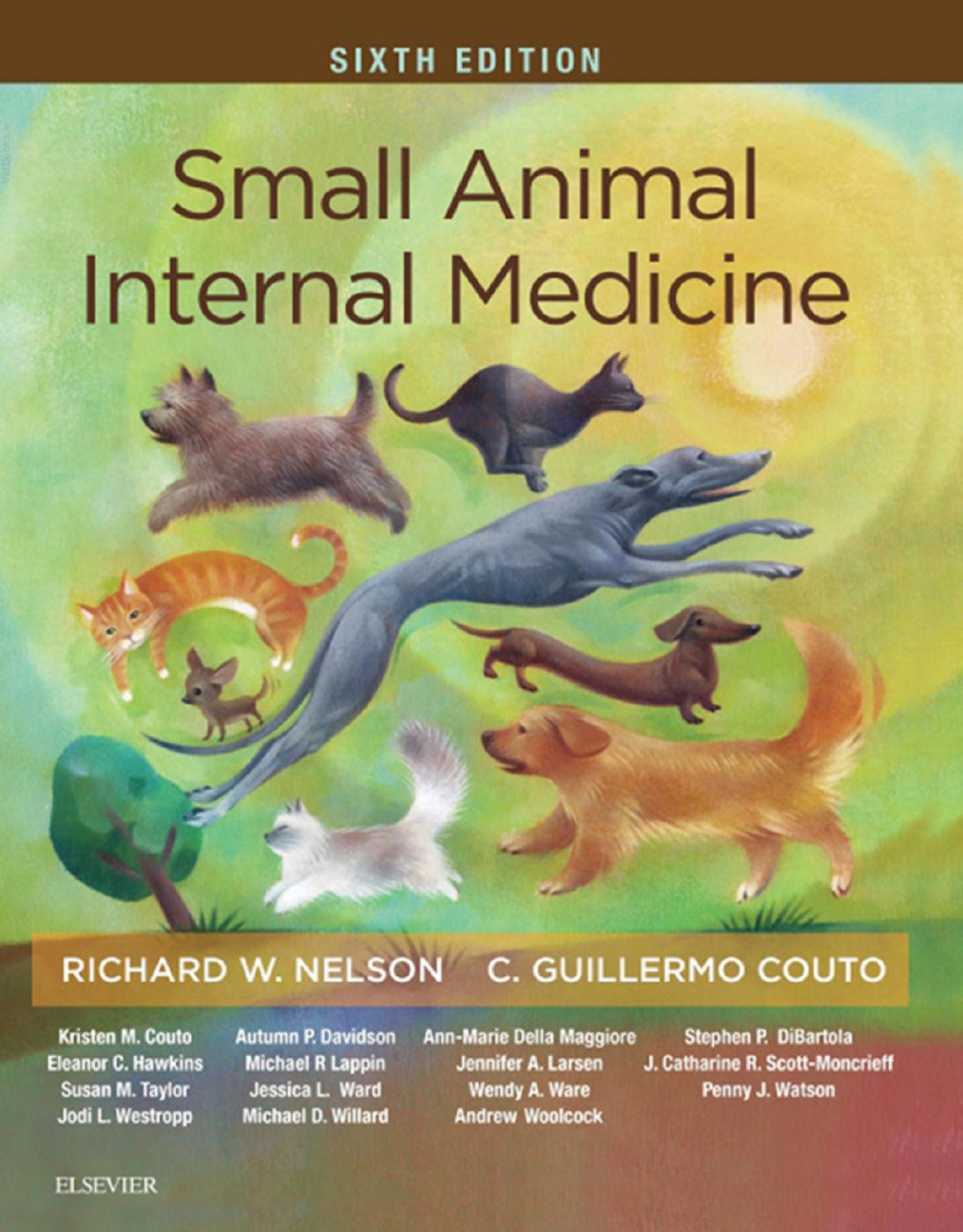 Small Animal Internal Medicine 第6版 Small Animal Internal Medicine 6th Edition – Global Vet & Co Ltd
