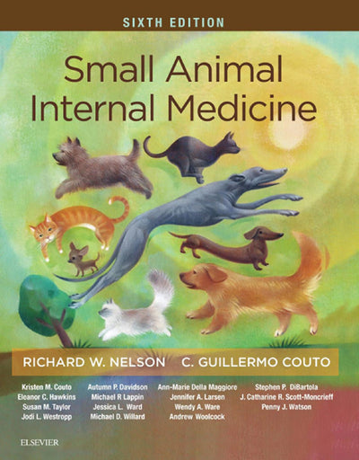 Small Animal Internal Medicine 6th Edition