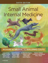 Small Animal Internal Medicine Sixth Edition
