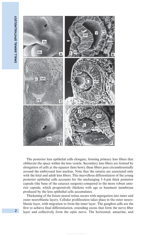 Small Animal Ophthalmology 4Th Edition