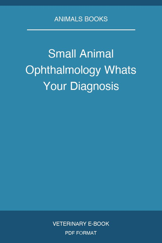 Small Animal Ophthalmology Whats Your Diagnosis