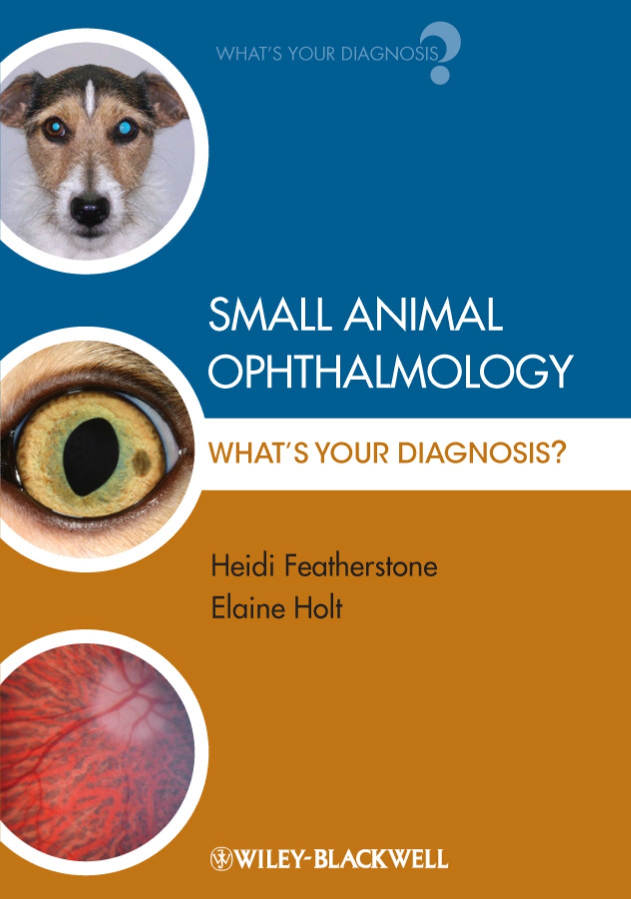 Small Animal Ophthalmology Whats Your Diagnosis