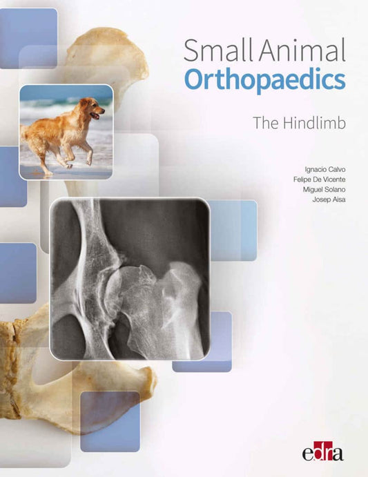Small Animal Orthopaedics Hindlimb