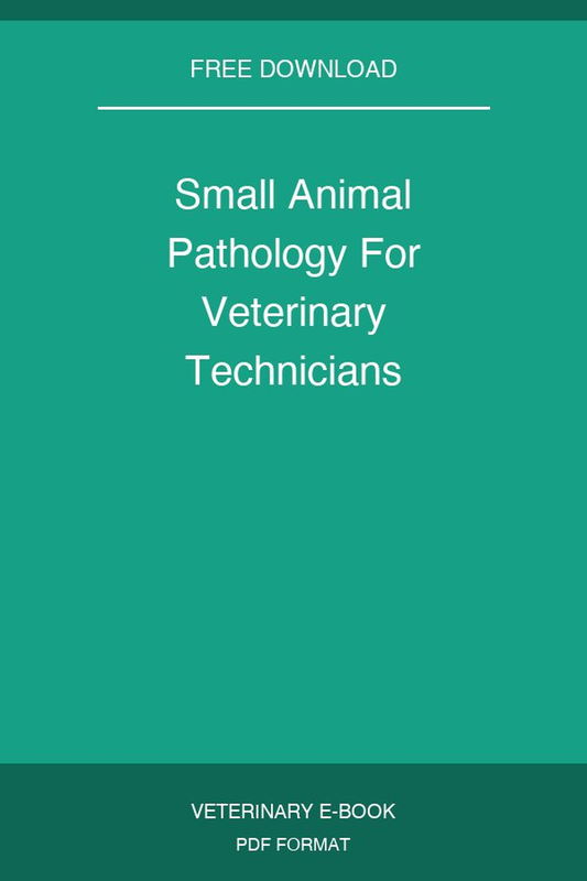 Small Animal Pathology For Veterinary Technicians