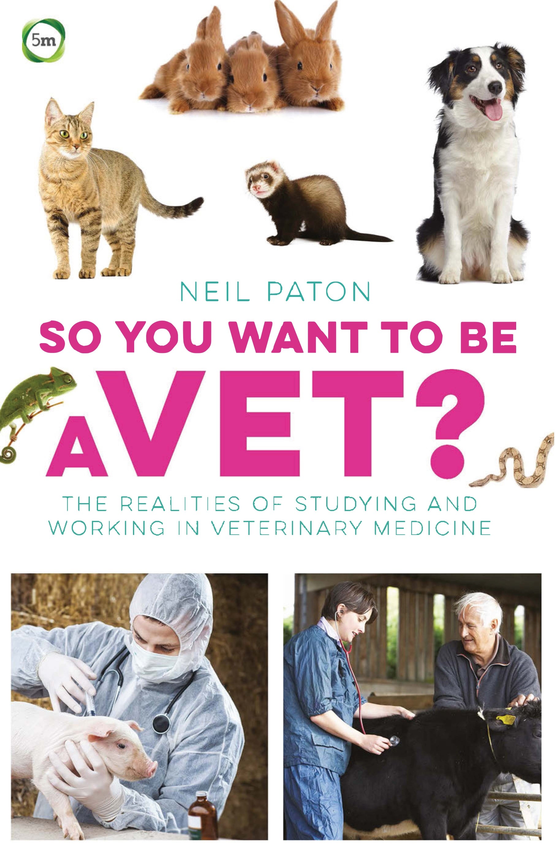 So You Want To Be A Vet The Realities Of Studying And Working In Veterinary Medicine