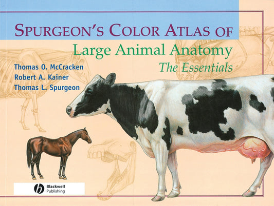 Spurgeons Color Atlas Of Large Animal Anatomy The Essentials
