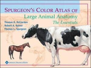 Spurgeons Color Atlas Of Large Animal Anatomy The Essentials