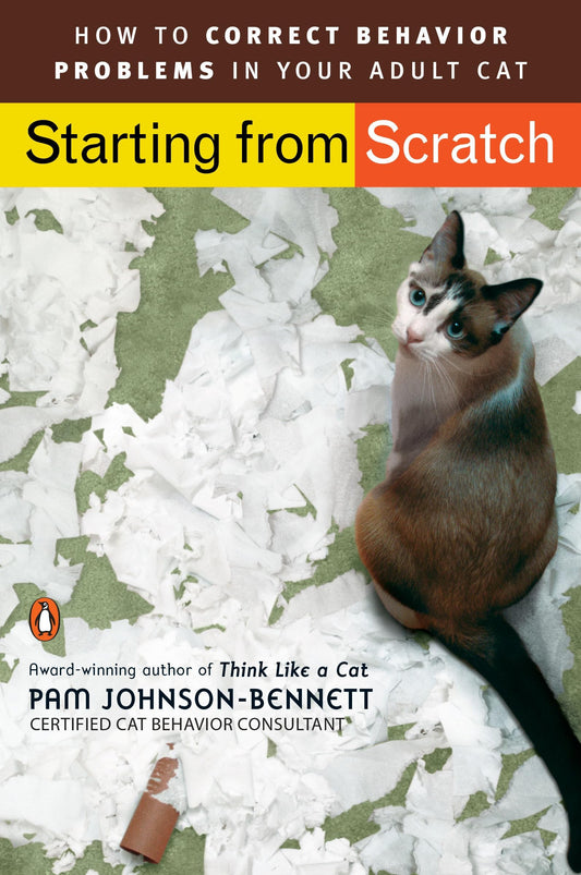 Start From Scratch How To Correct Behavior Problem In Your Adult Cat