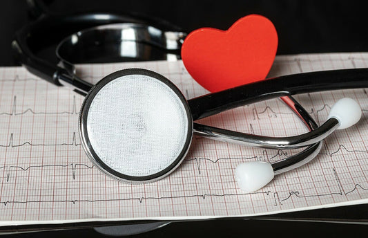 Best Stethoscopes For Veterinarians