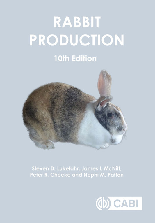 Steven Rabbit And Production 10Th