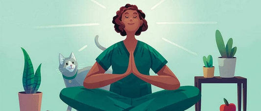 Veterinary Stress Management