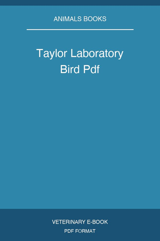 Taylor Laboratory Bird