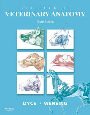 Textbook Of Veterinary Anatomy 4Th Edition