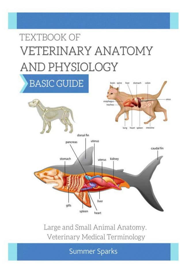 Textbook Of Veterinary Anatomy And Physiology Basic Guide