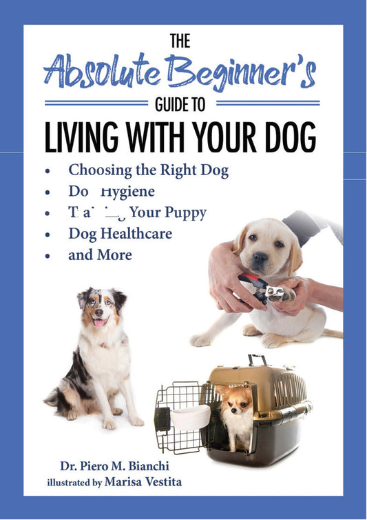 The Absolute Beginners Guide To Living With Your Dog