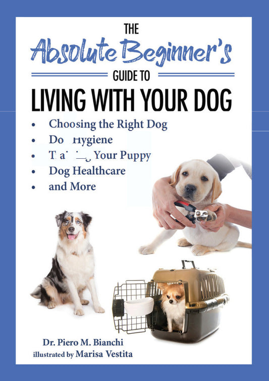 The Absolute Beginners Guide To Living With Your Dog