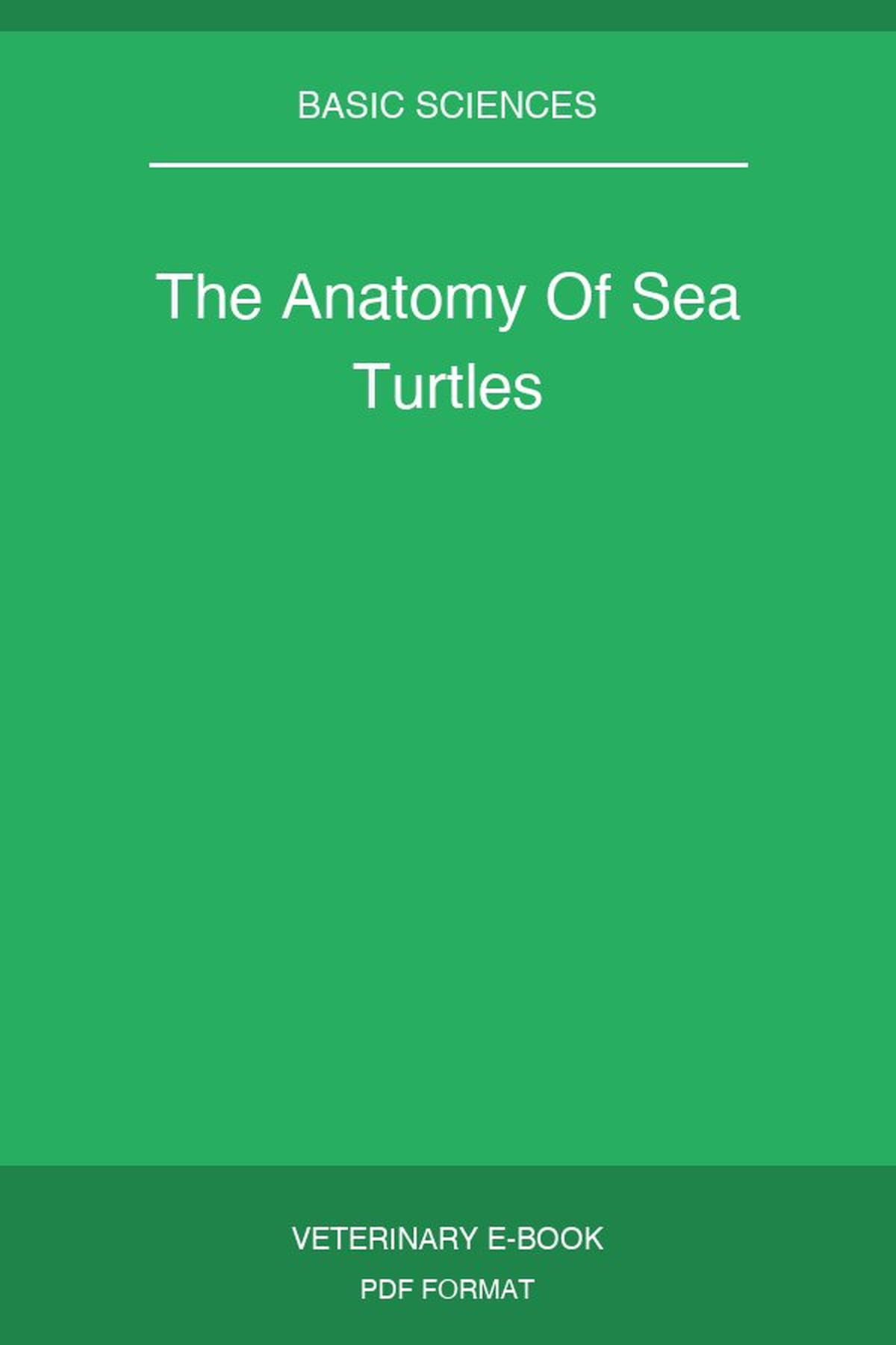 The Anatomy Of Sea Turtles