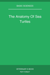 The Anatomy Of Sea Turtles